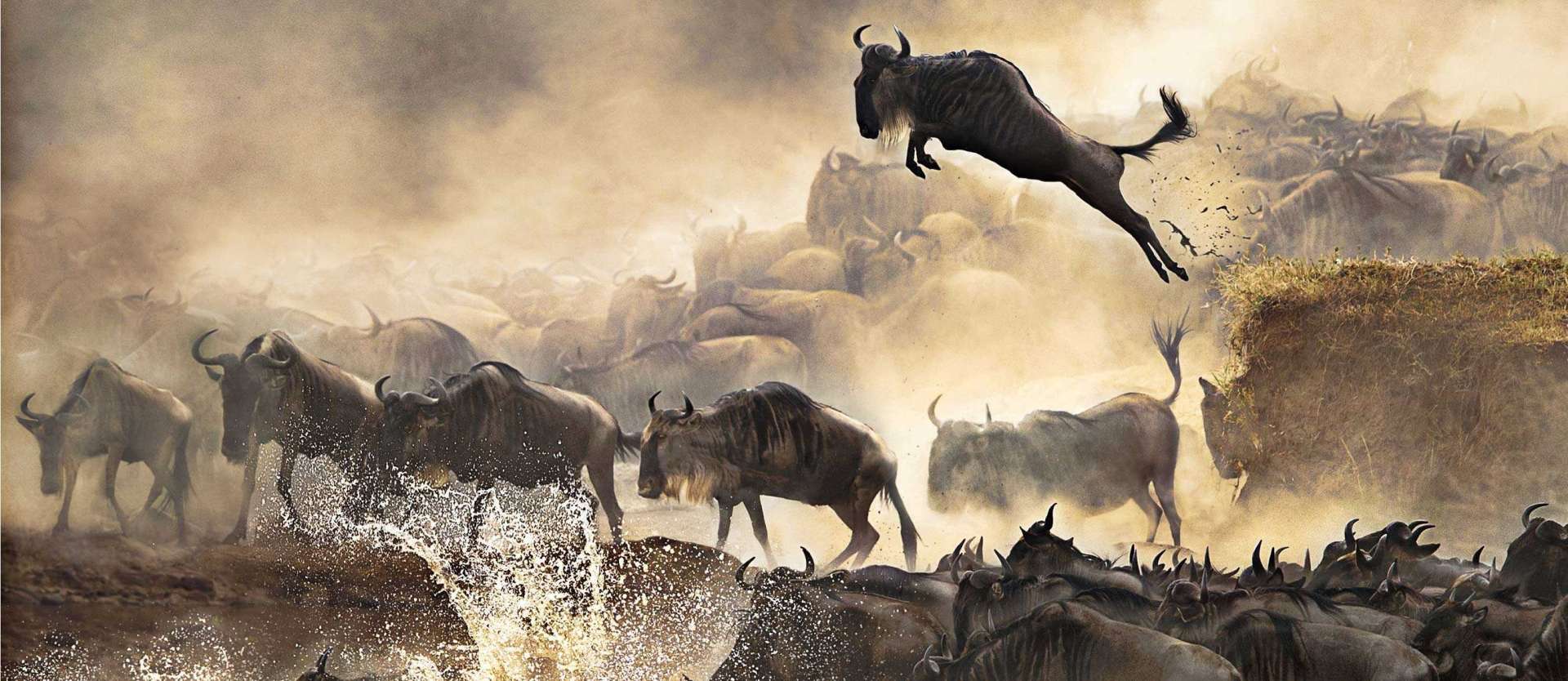 KENYA TOURS & SAFARIS